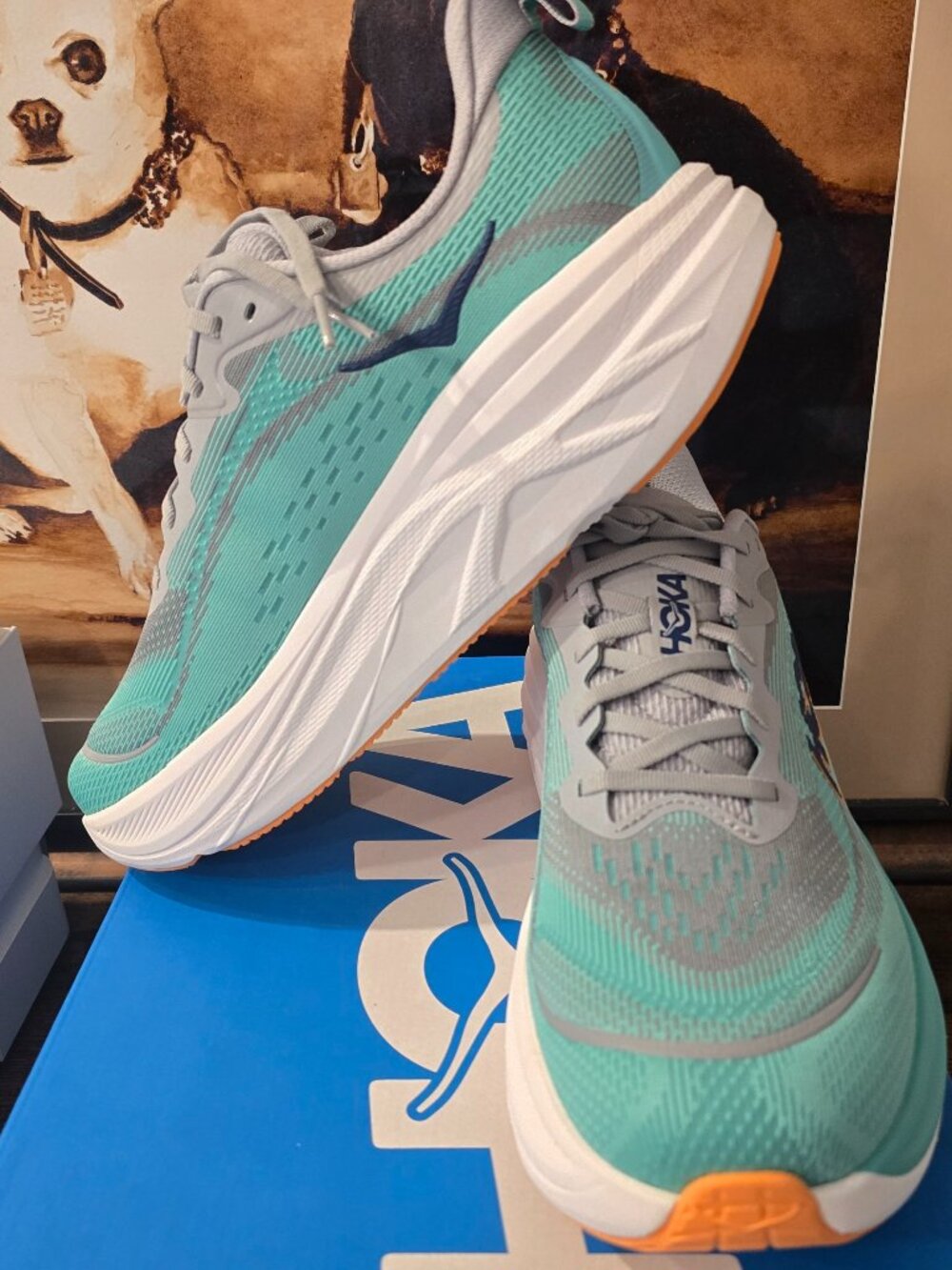 Hoka Men's Skyflow Running Shoes Blue / Grey 1155111-SRYS Trail Size 12 NEW